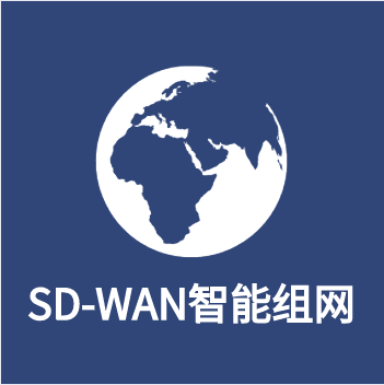 SD-WAN企業(yè)云組網