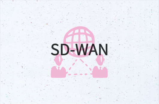 SD-WAN向云的加速遷移