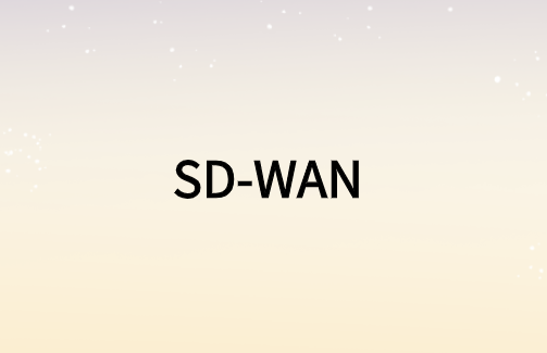 加速視頻業(yè)務的SD-WAN