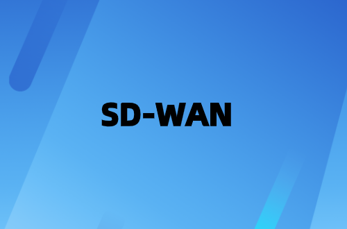 SD-WAN花費多少?